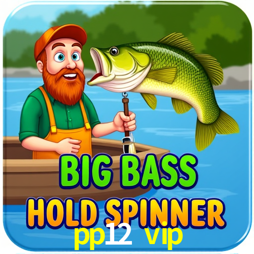 Experiência VIP pp12 vip