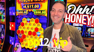 Bônus Diários pp12 vip